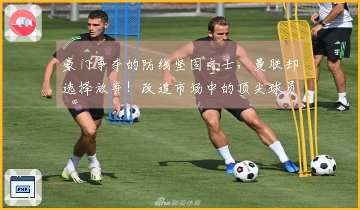 豪门争夺的防线坚固之士，曼联却选择放弃！改追市场中的顶尖球员